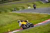 Advanced Group Yellow Bikes